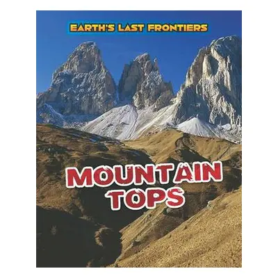 Mountain Tops - Labrecque, Ellen