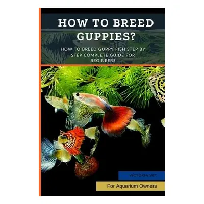 How to Breed Guppies? - Vet, Victoria