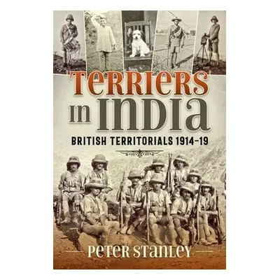 Terriers in India: British Territorials 1914-19 - Stanley, Peter