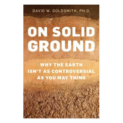 On Solid Ground - Goldsmith, David