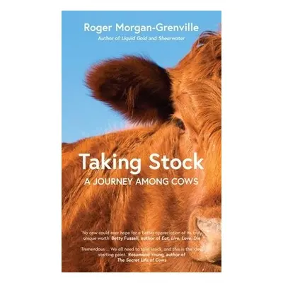 Taking Stock - Morgan-Grenville, Roger