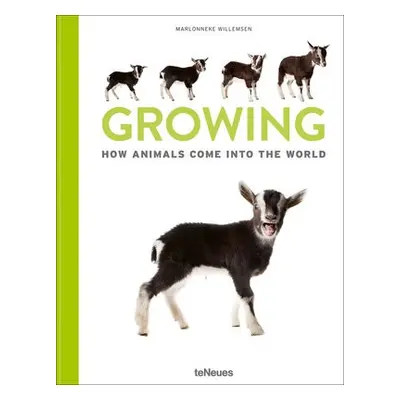 Growing - Willemsen, Marlonneke