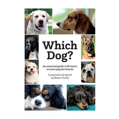 Which Dog