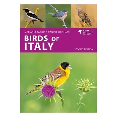 Birds of Italy - Occhiato, Daniele a Taylor, Marianne