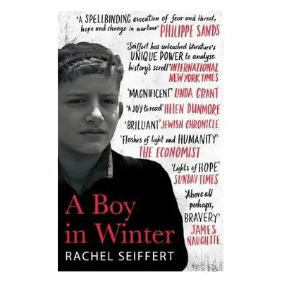 Boy in Winter - Seiffert, Rachel