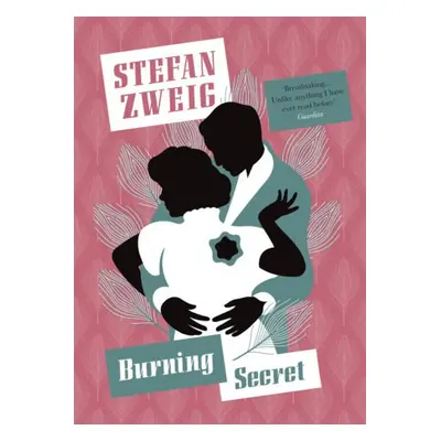 Burning Secret - Zweig, Stefan (Author)