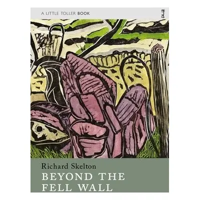 Beyond the Fell Wall - Skelton, Richard