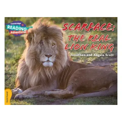 Cambridge Reading Adventures Scarface: The Real Lion King Gold Band - Scott, Jonathan and Angela