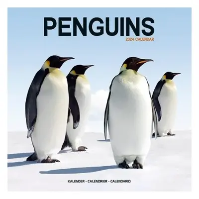 Penguins Calendar 2024 Square Animal Wall Calendar - 16 Month