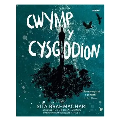 Darllen yn Well: Cwymp y Cysgodion - Brahmachari, Sita