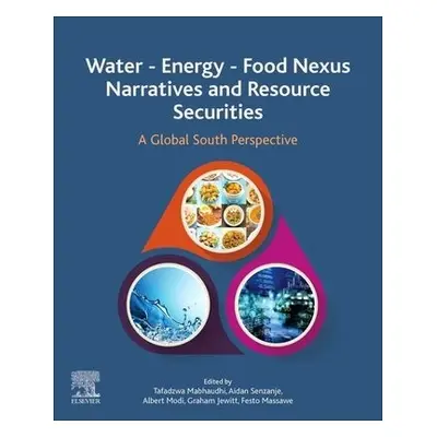 Water - Energy - Food Nexus Narratives and Resource Securities