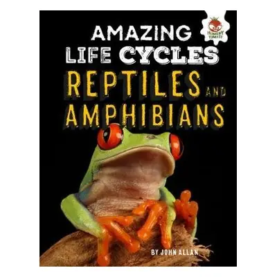 Reptiles and Amphibians - Amazing Life Cycles - Allan, John