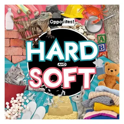 Hard and Soft - Duhig, Holly