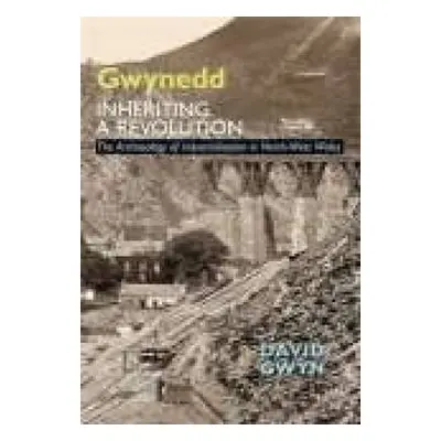 Gwynedd, Inheriting a Revolution - Gwyn, David