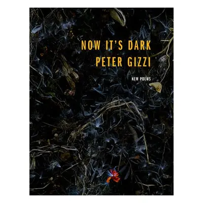 Now It's Dark - Gizzi, Peter