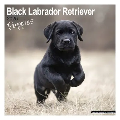 Black Labrador Puppies Calendar 2025 Square Dog Puppy Breed Wall Calendar - 16 Month