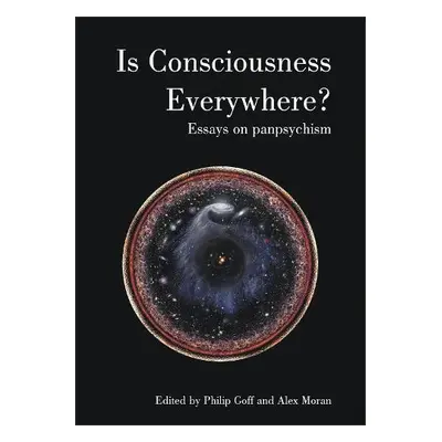 Is Consciousness Everywhere?