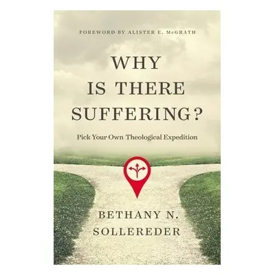 Why Is There Suffering? - Sollereder, Bethany N.