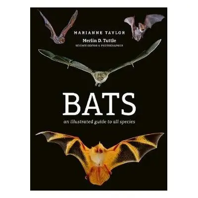 Bats - Taylor, Marianne