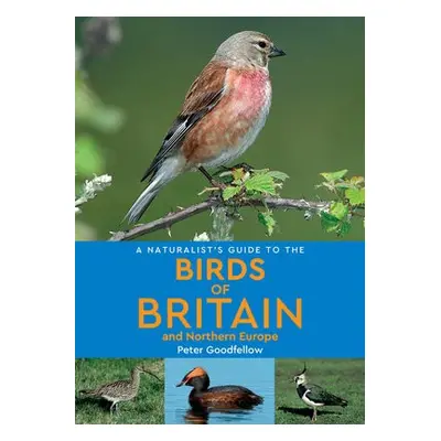 Naturalist's Guide to the Birds of Britain and Northern Europe (2nd edition) - Goodfellow, Peter