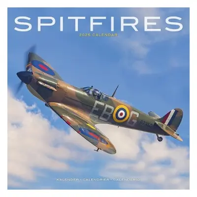 Spitfires Calendar 2025 Square Plane Wall Calendar - 16 Month