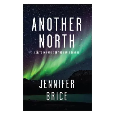 Another North - Brice, Jennifer