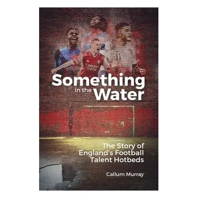 Something in the Water - Murray, Callum