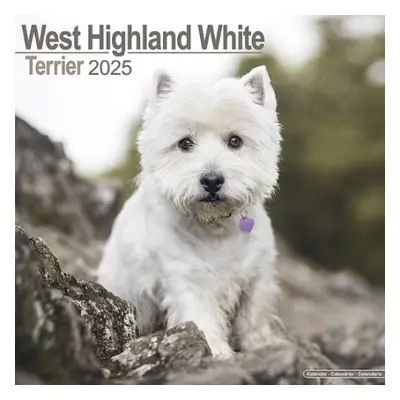 West Highland White Terrier Calendar 2025 Square Dog Breed Wall Calendar - 16 Month