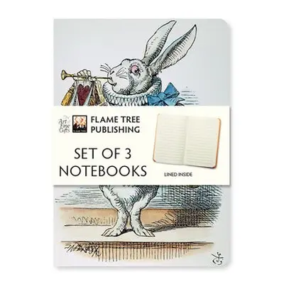 Alice in Wonderland Set of 3 Mini Notebooks