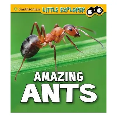 Amazing Ants - Peterson, Megan Cooley