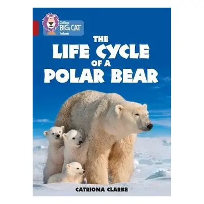 Life Cycle of a Polar Bear - Clarke, Catriona