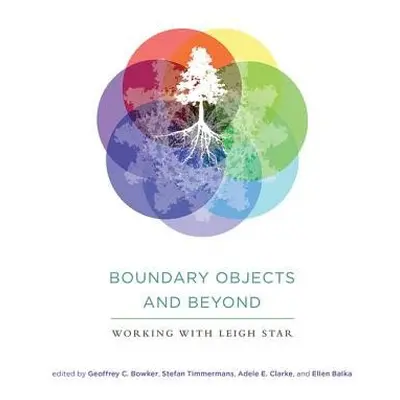 Boundary Objects and Beyond