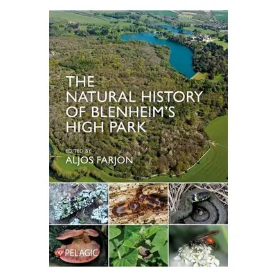 Natural History of Blenheim’s High Park