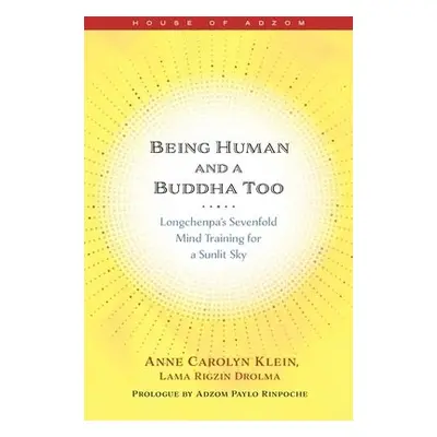 Being Human and a Buddha Too - Klein, Anne