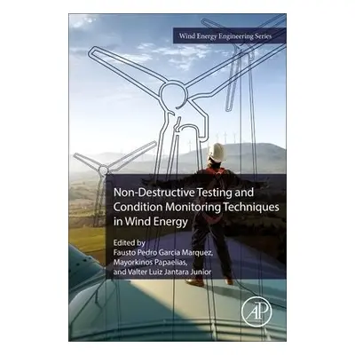 Non-Destructive Testing and Condition Monitoring Techniques in Wind Energy