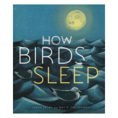 How Birds Sleep - Obuchowski, David