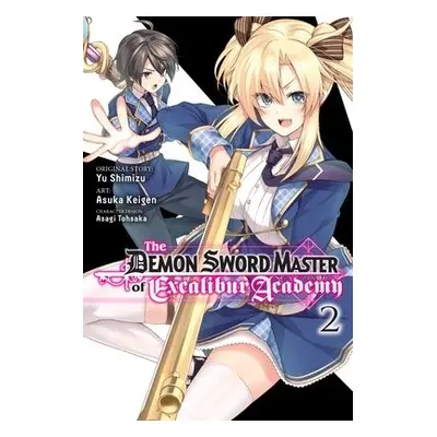 Demon Sword Master of Excalibur Academy, Vol. 2 (manga) - Shimizu, Yuu