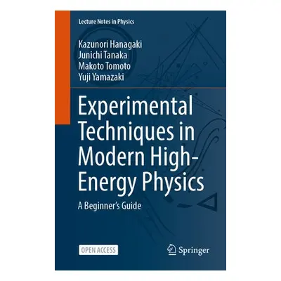 Experimental Techniques in Modern High-Energy Physics - Hanagaki, Kazunori a Tanaka, Junichi a T