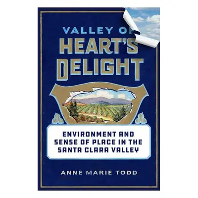 Valley of Heart's Delight - Todd, Anne Marie