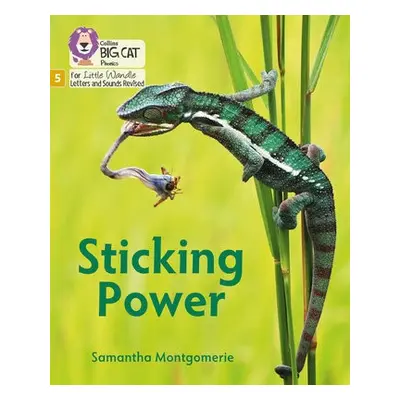 Sticking Power - Montgomerie, Samantha