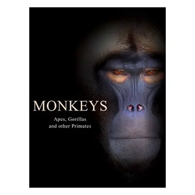 Monkeys - Jackson, Tom