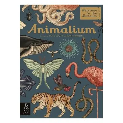 Animalium - Broom, Jenny