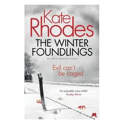 Winter Foundlings - Rhodes, Kate