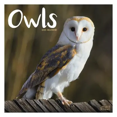 Owls Calendar 2025 Square Birds Wall Calendar - 16 Month