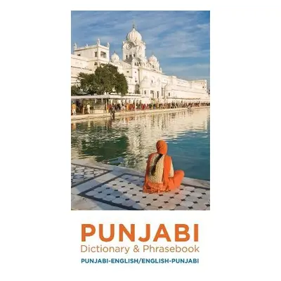 Punjabi-English/English-Punjabi Dictionary a Phrasebook