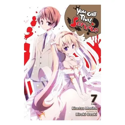 You Call That Service?, Vol. 7 (light novel)