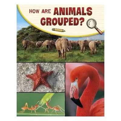 How Are Animals Grouped? - Simons, Lisa M. Bolt