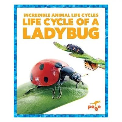 Life Cycle of a Ladybug - Kenney, Karen