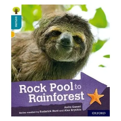 Oxford Reading Tree Explore with Biff, Chip and Kipper: Oxford Level 9: Rock Pool to Rainforest 