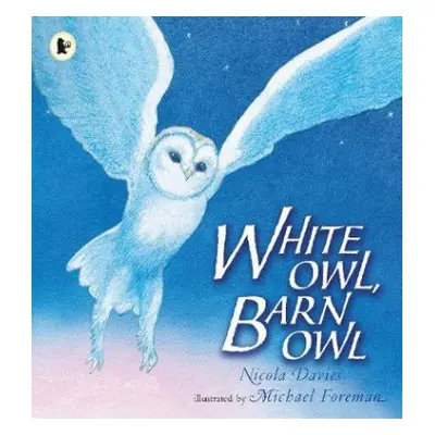 White Owl, Barn Owl - Davies, Nicola